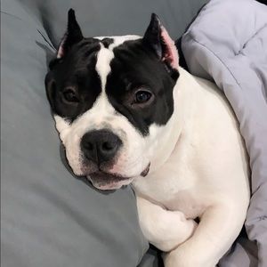 Meet your Posher, Dalia